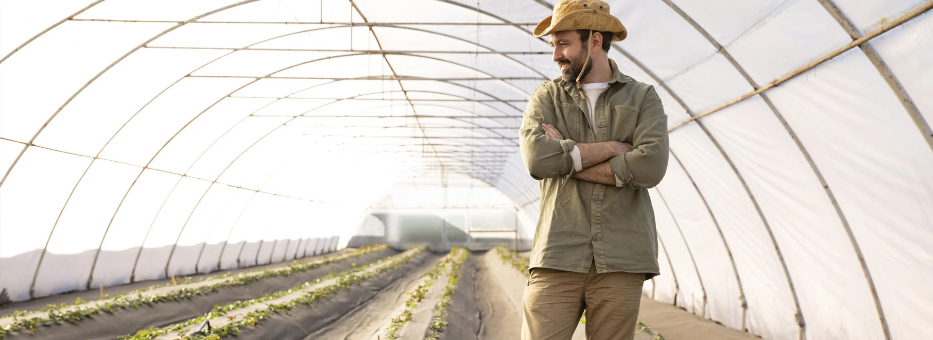 agriculture investment UAE